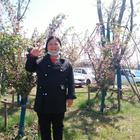 花好月圓