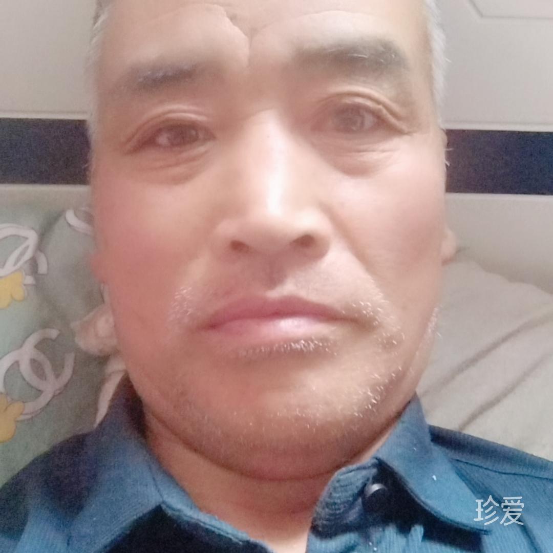 孤独的免子