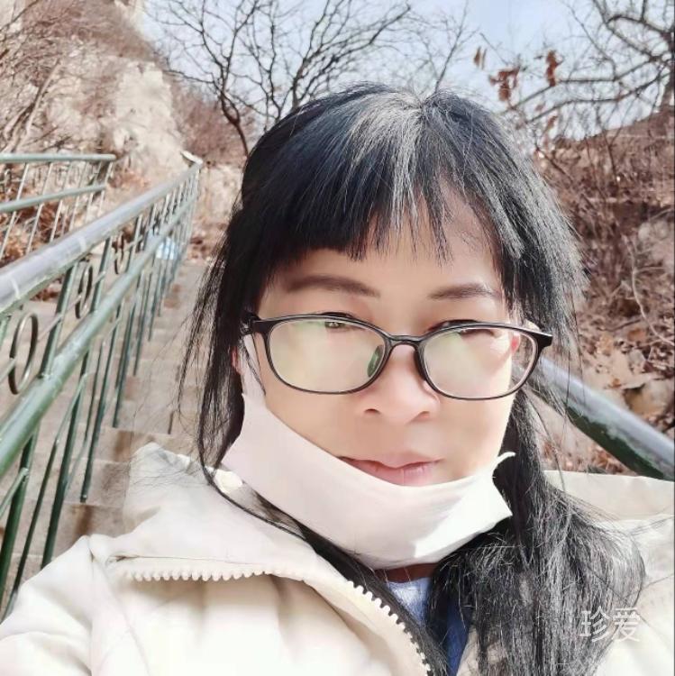 傲梅观雪
