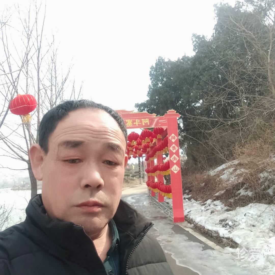 人生真情