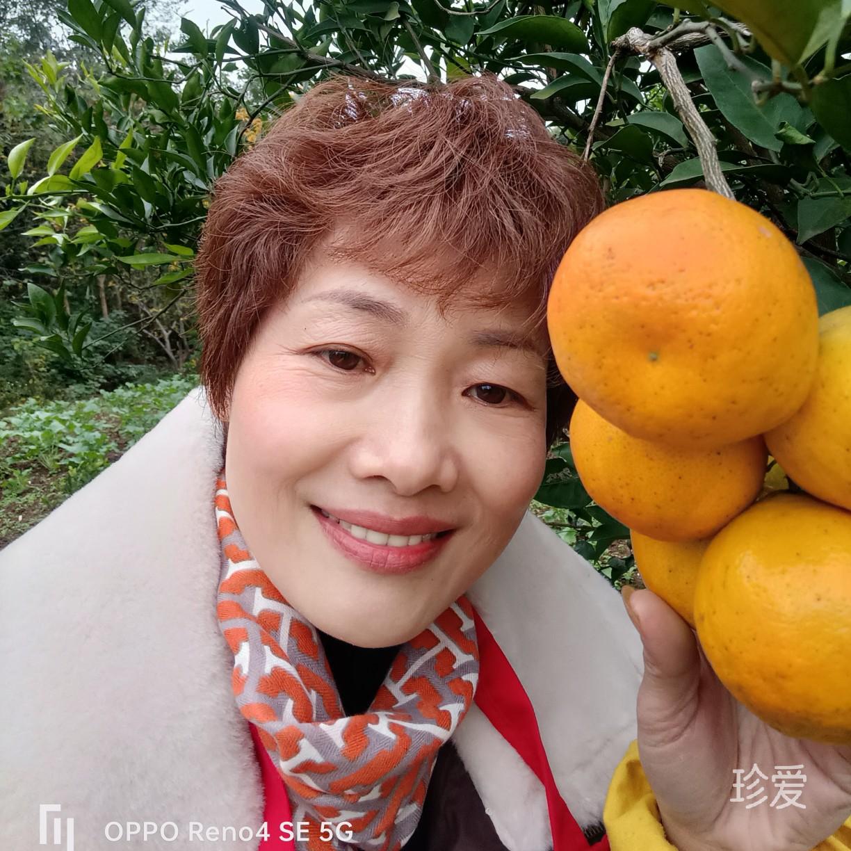 雪落红尘