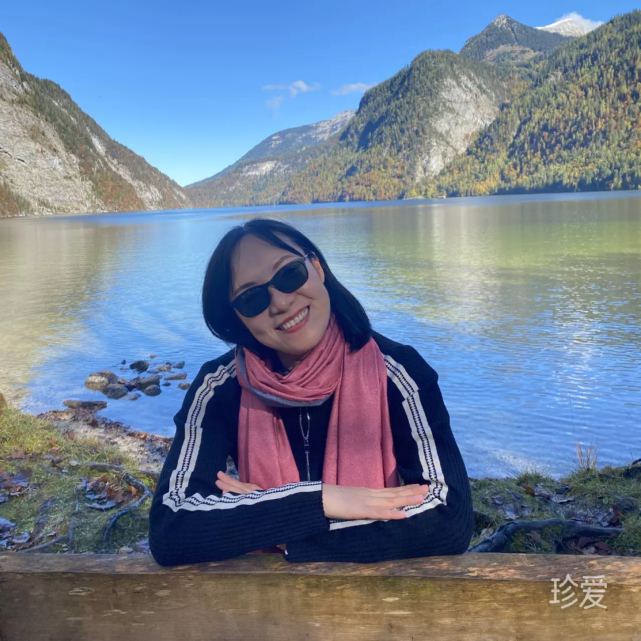 丁香花