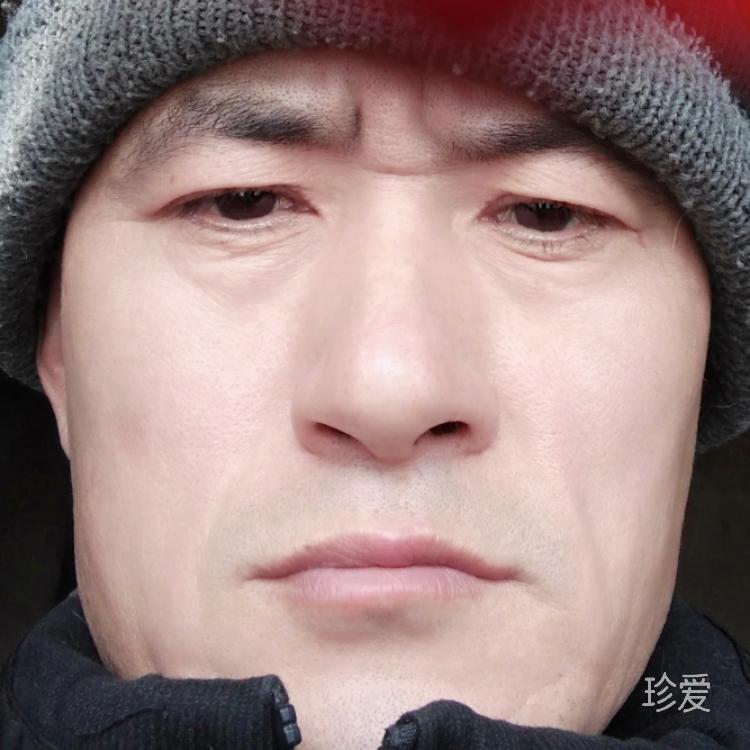 地球生命力提高總