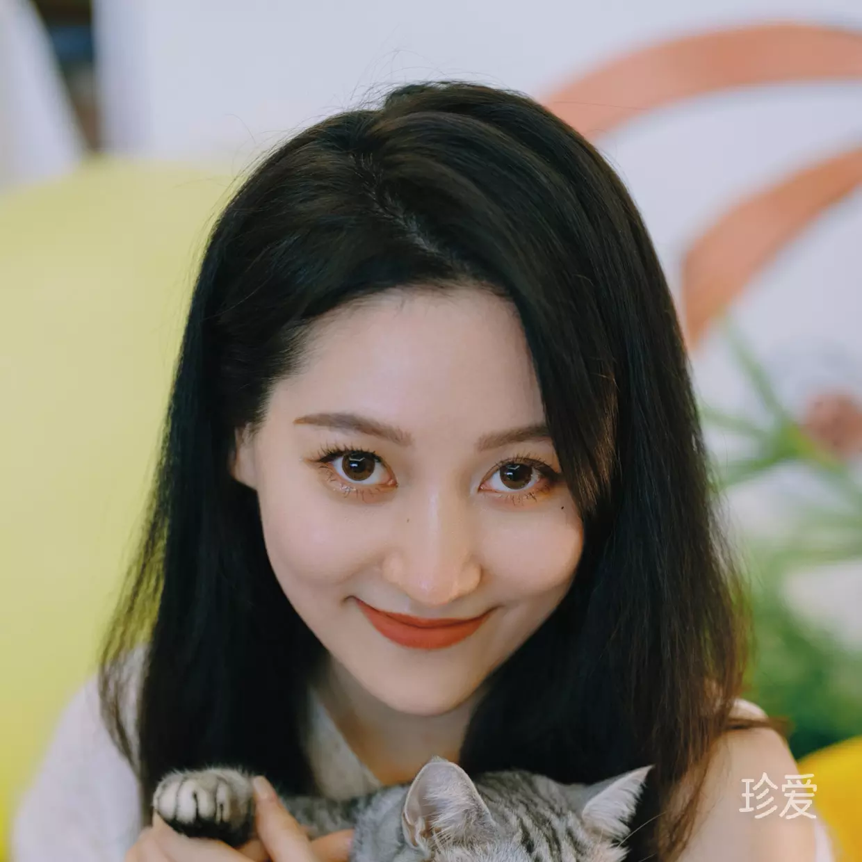 掉进陷阱的兔子