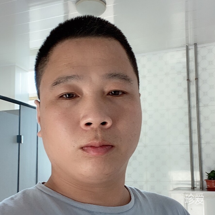 菩提树下