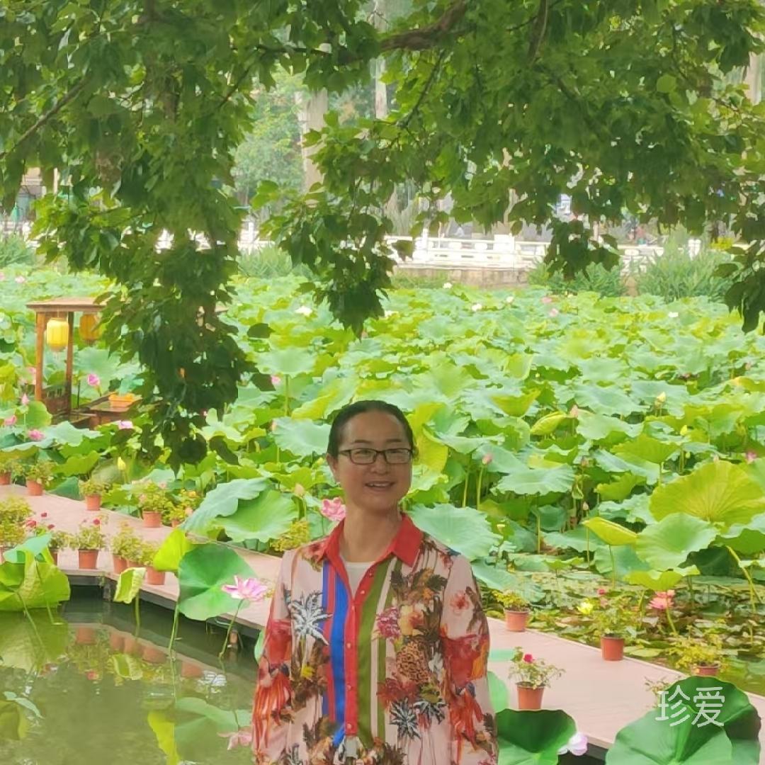 悠悠红丝