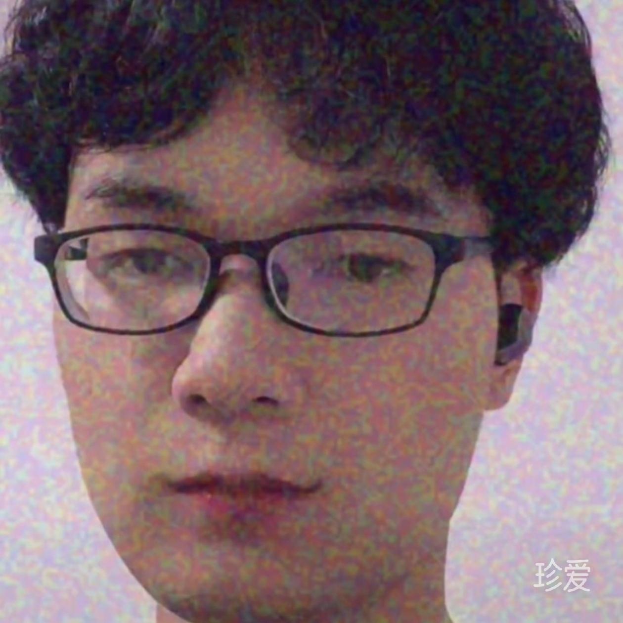 仓鼠