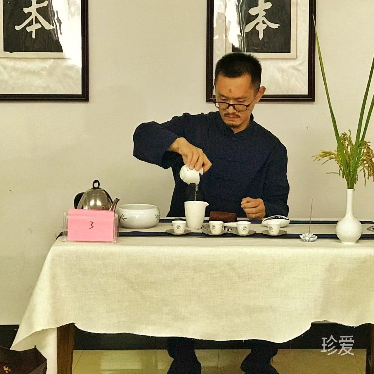 看星星的猫