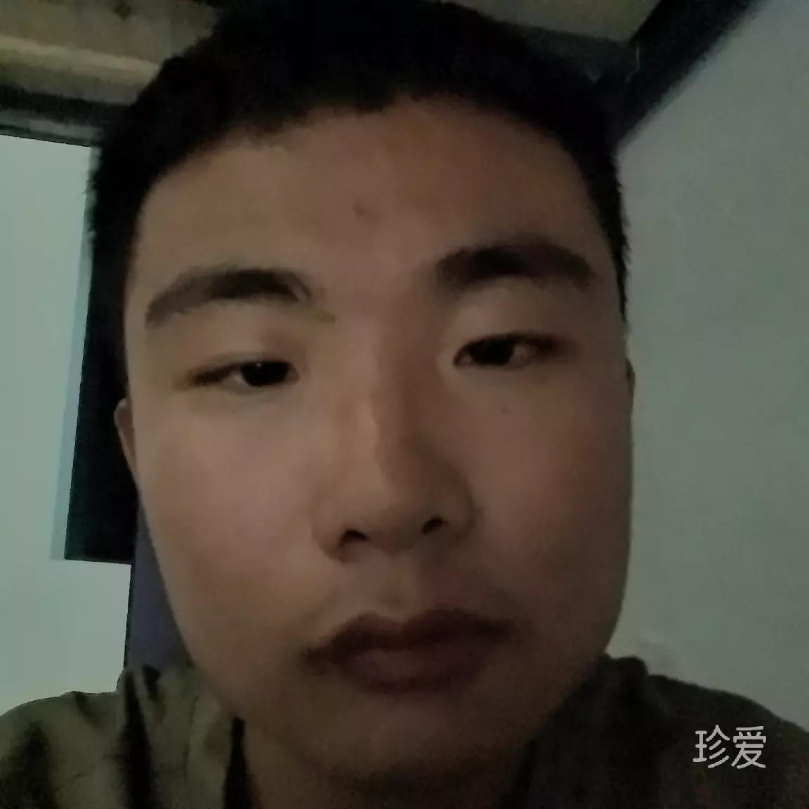才狼的智慧