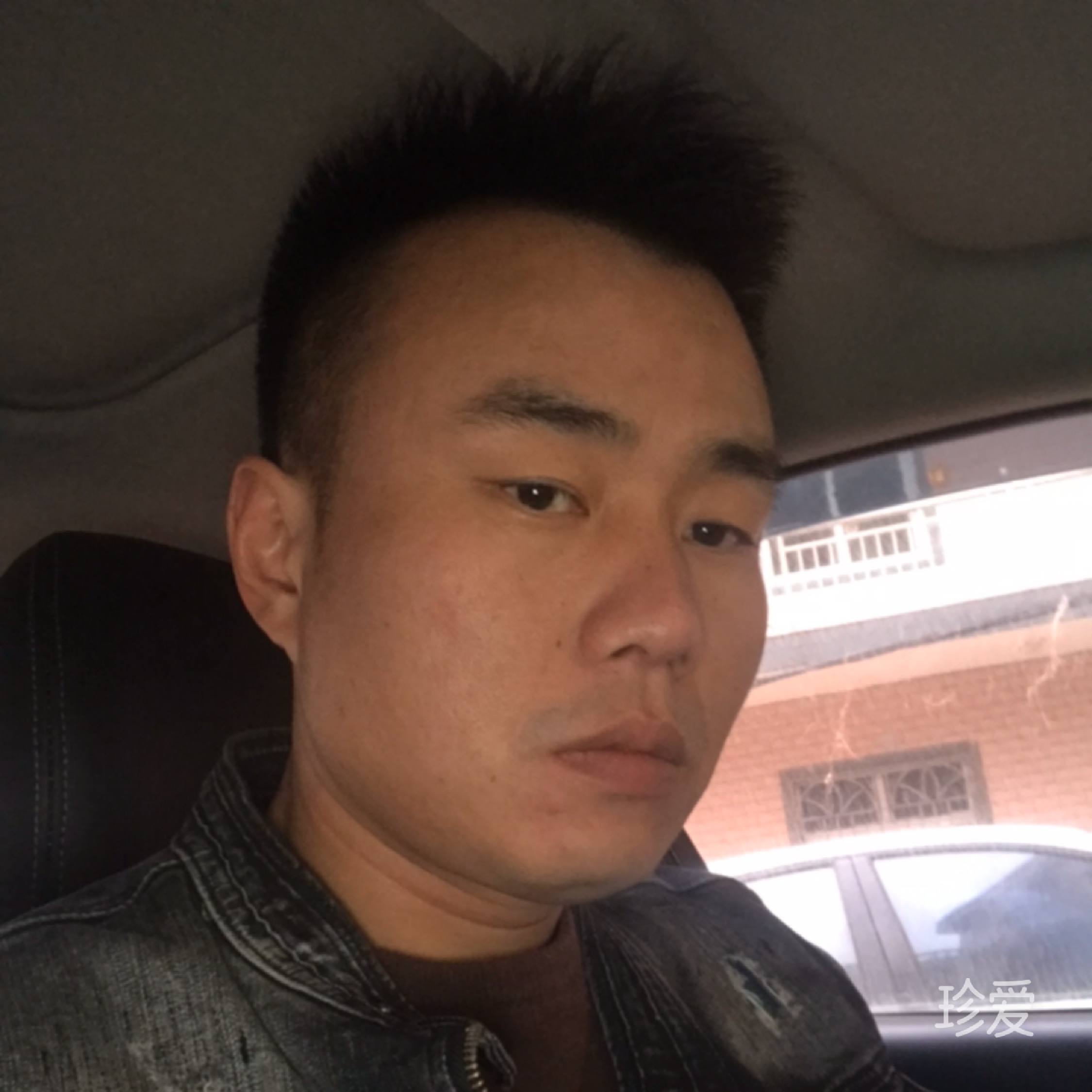 喧闹的仓鼠