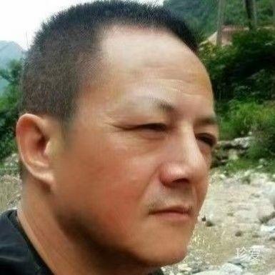 草原上的雪狼