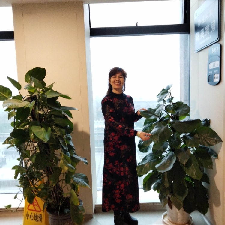 風(fēng)中的落葉