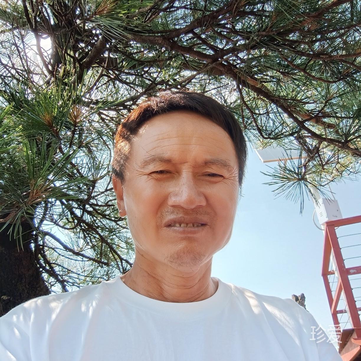 唐舒