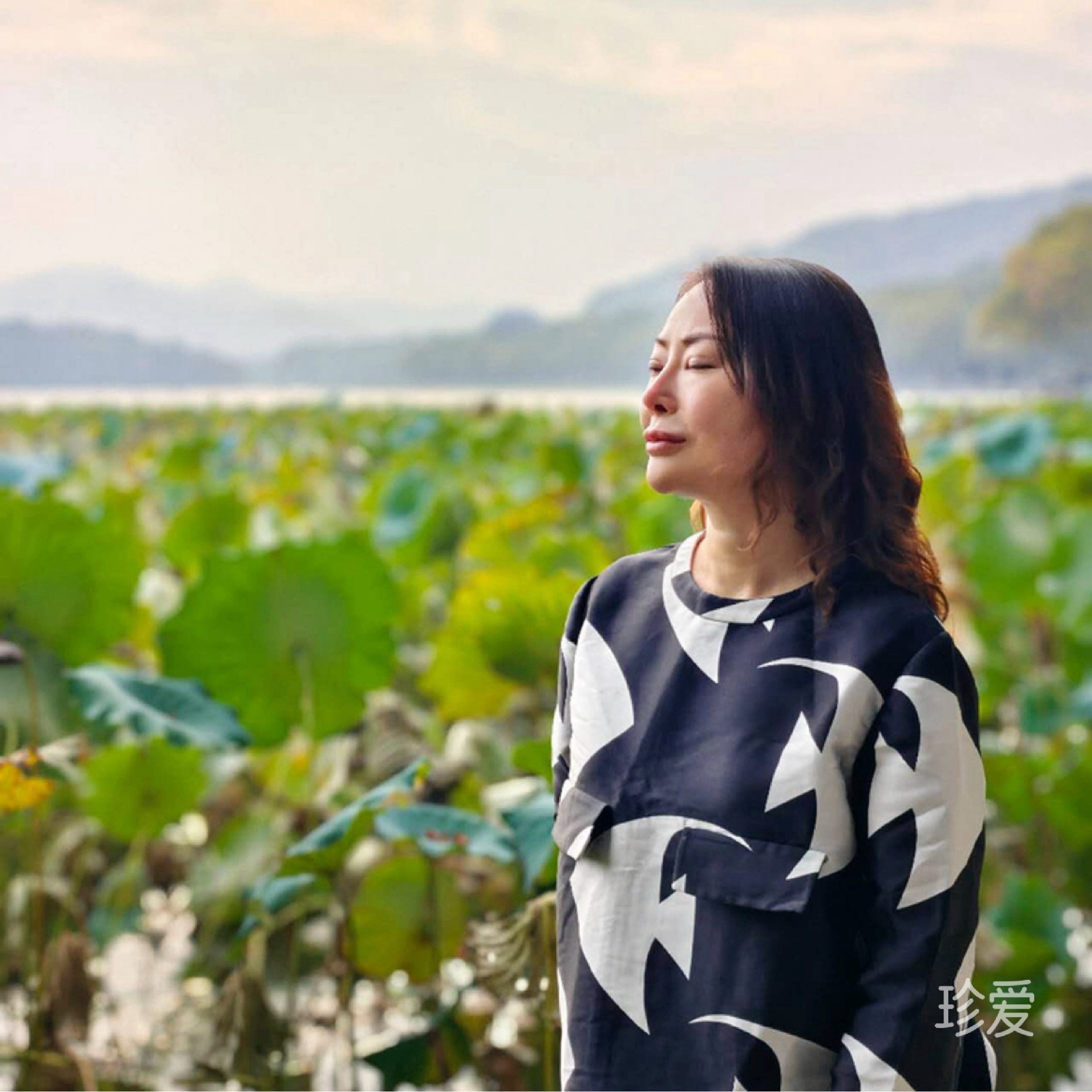上海的爱丽丝