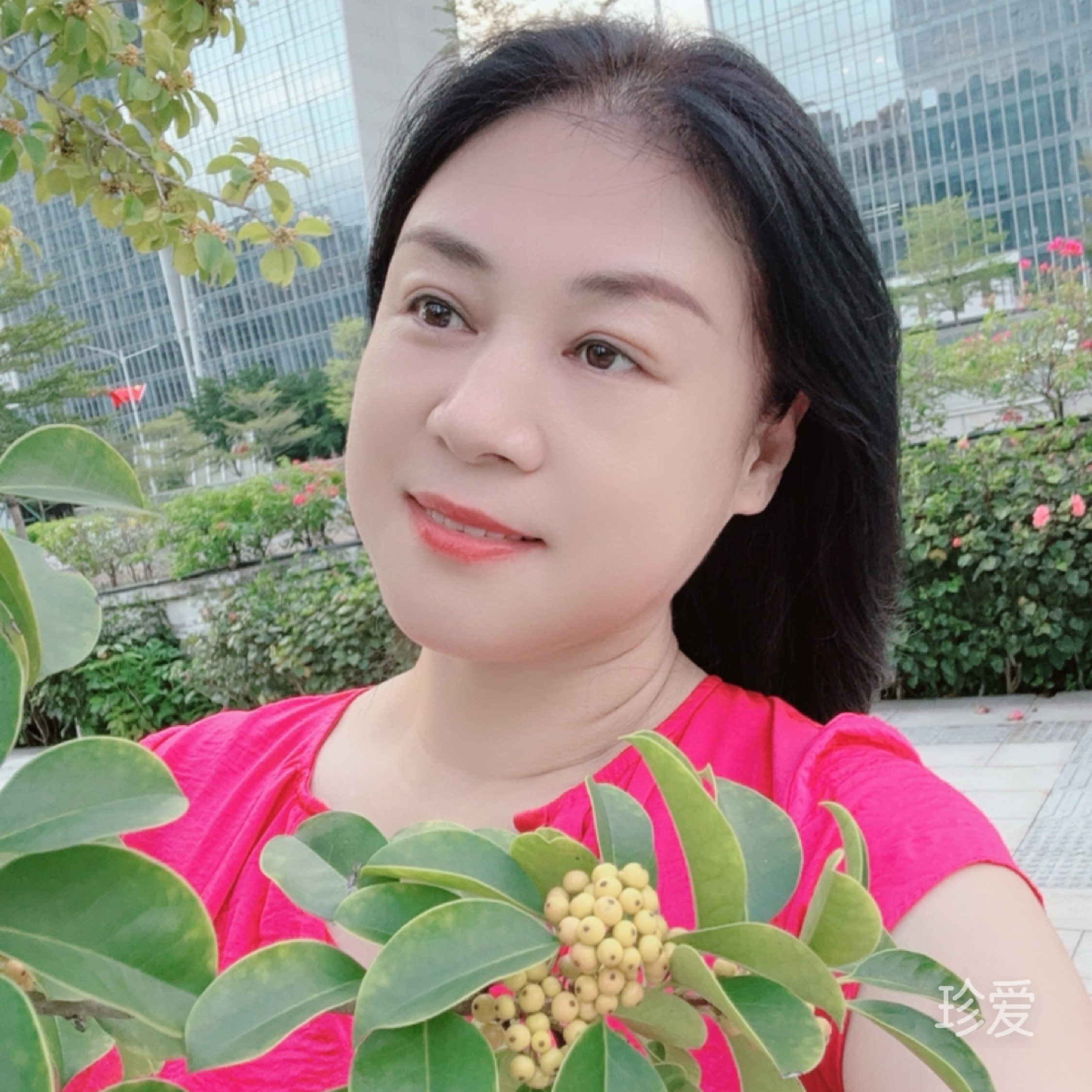 一妃宸境