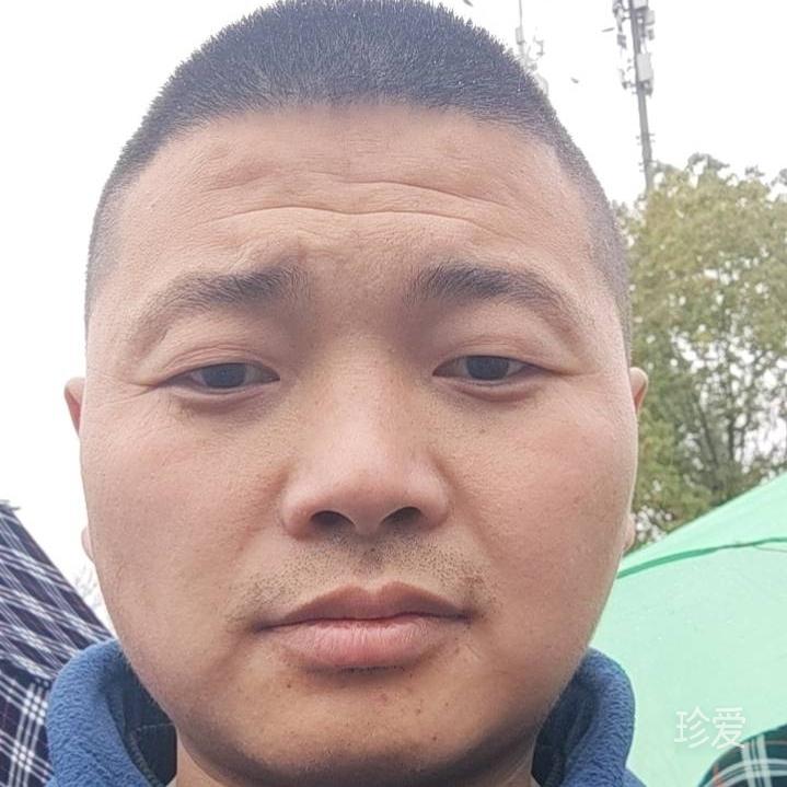 匆匆乍现