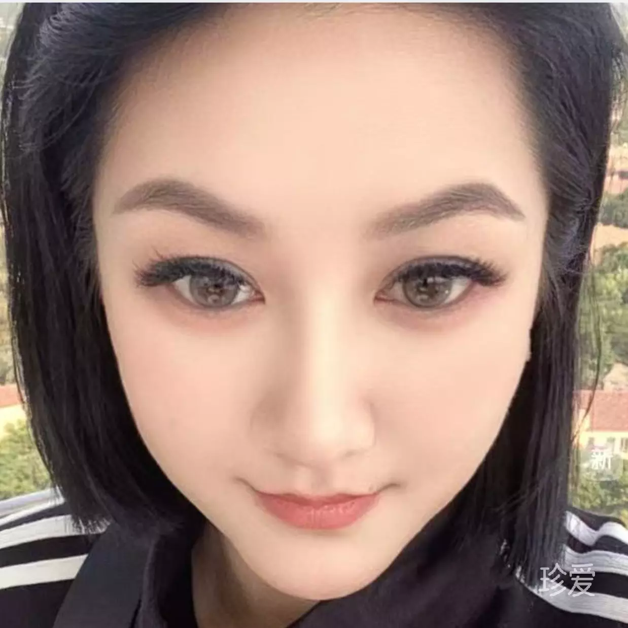 菲儿