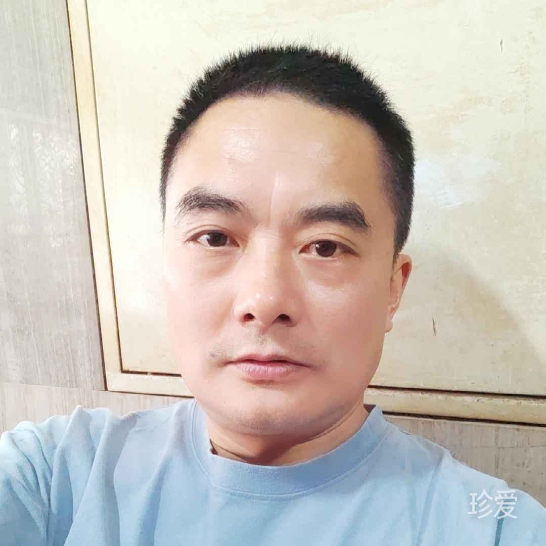 认真的乐天鸟