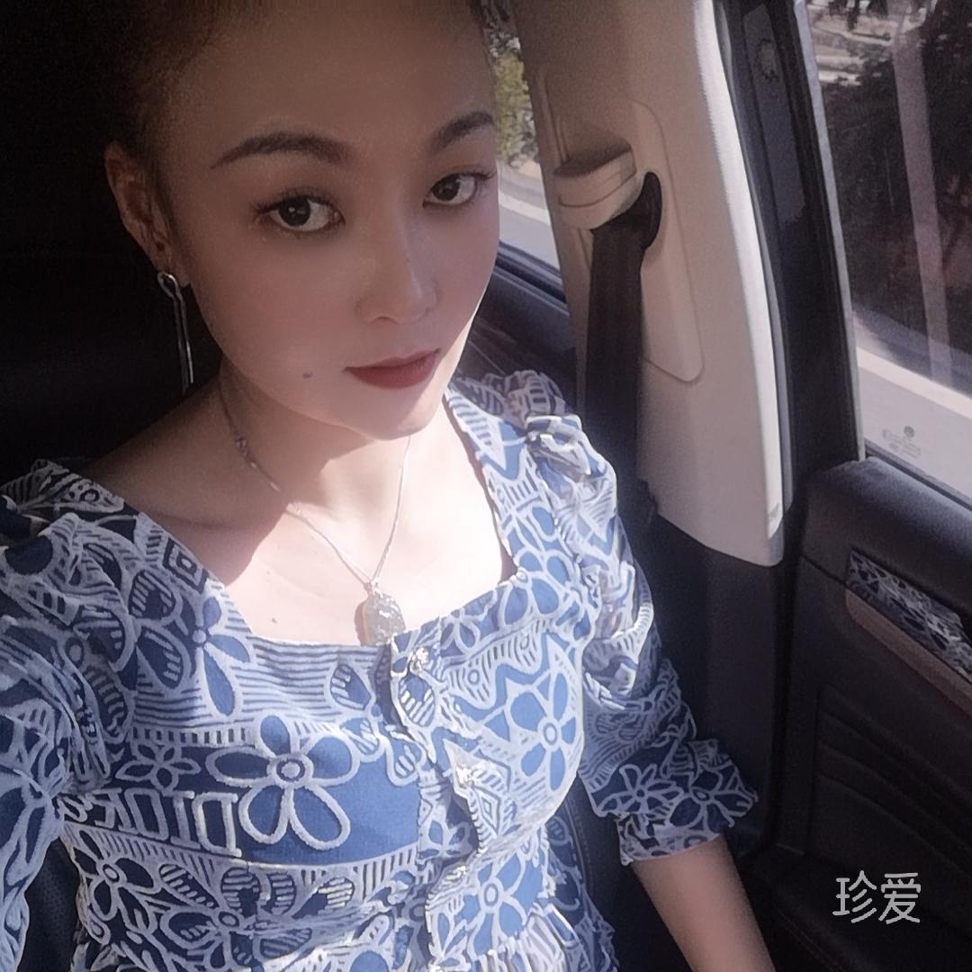 一城柳絮飄成雪