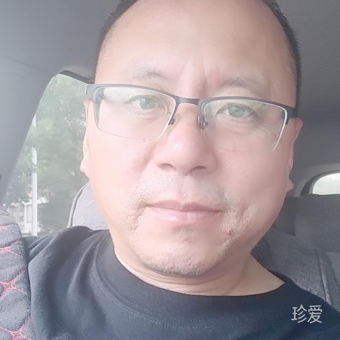 随风去流浪