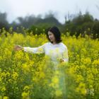 春暖花開