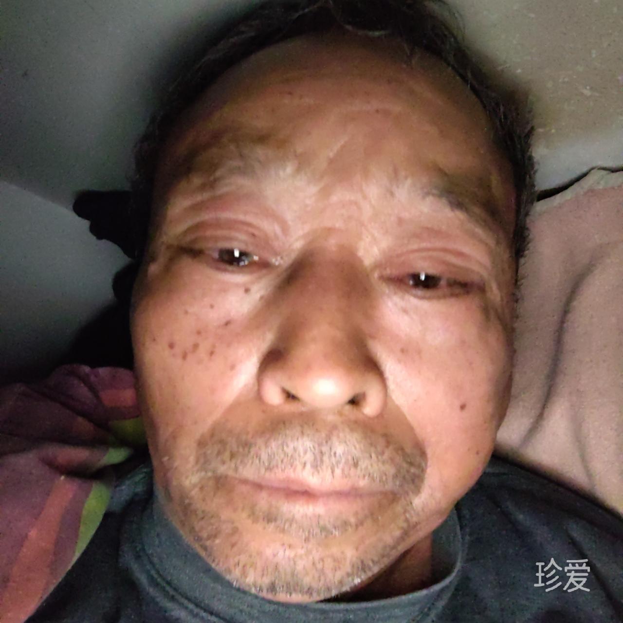謃兲晴苳