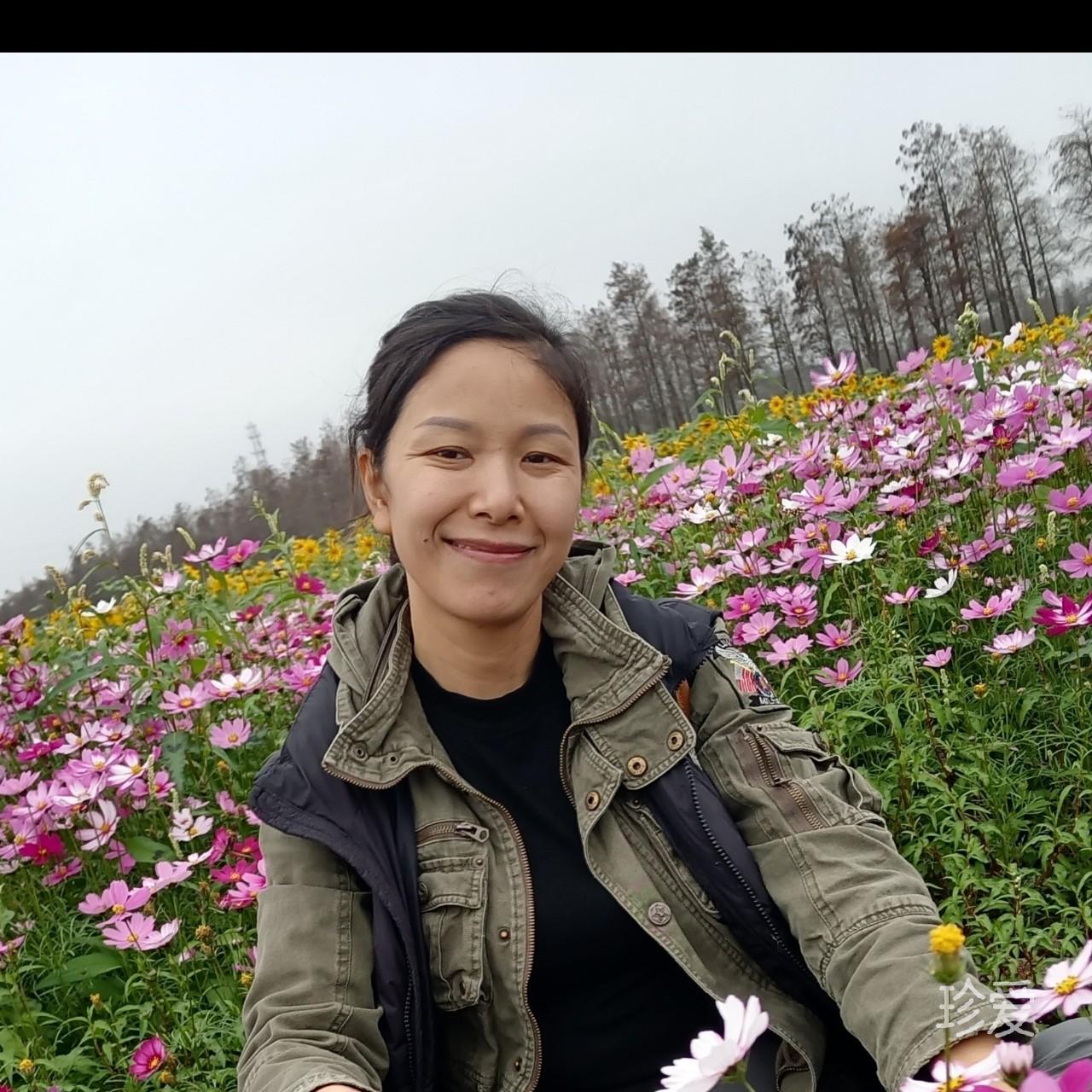 北雁南飞
