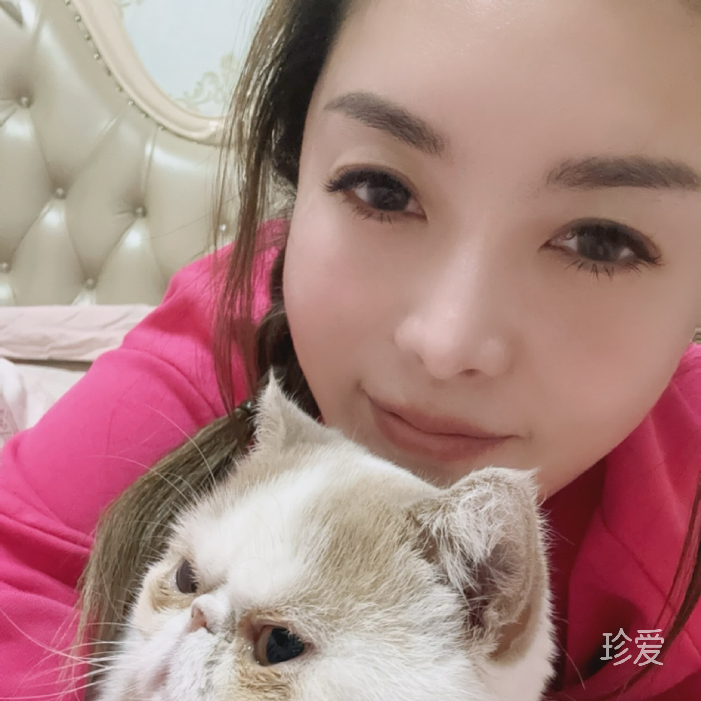 向阳花