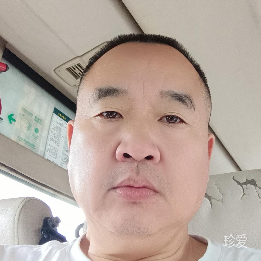 一只在沙漠中的羊