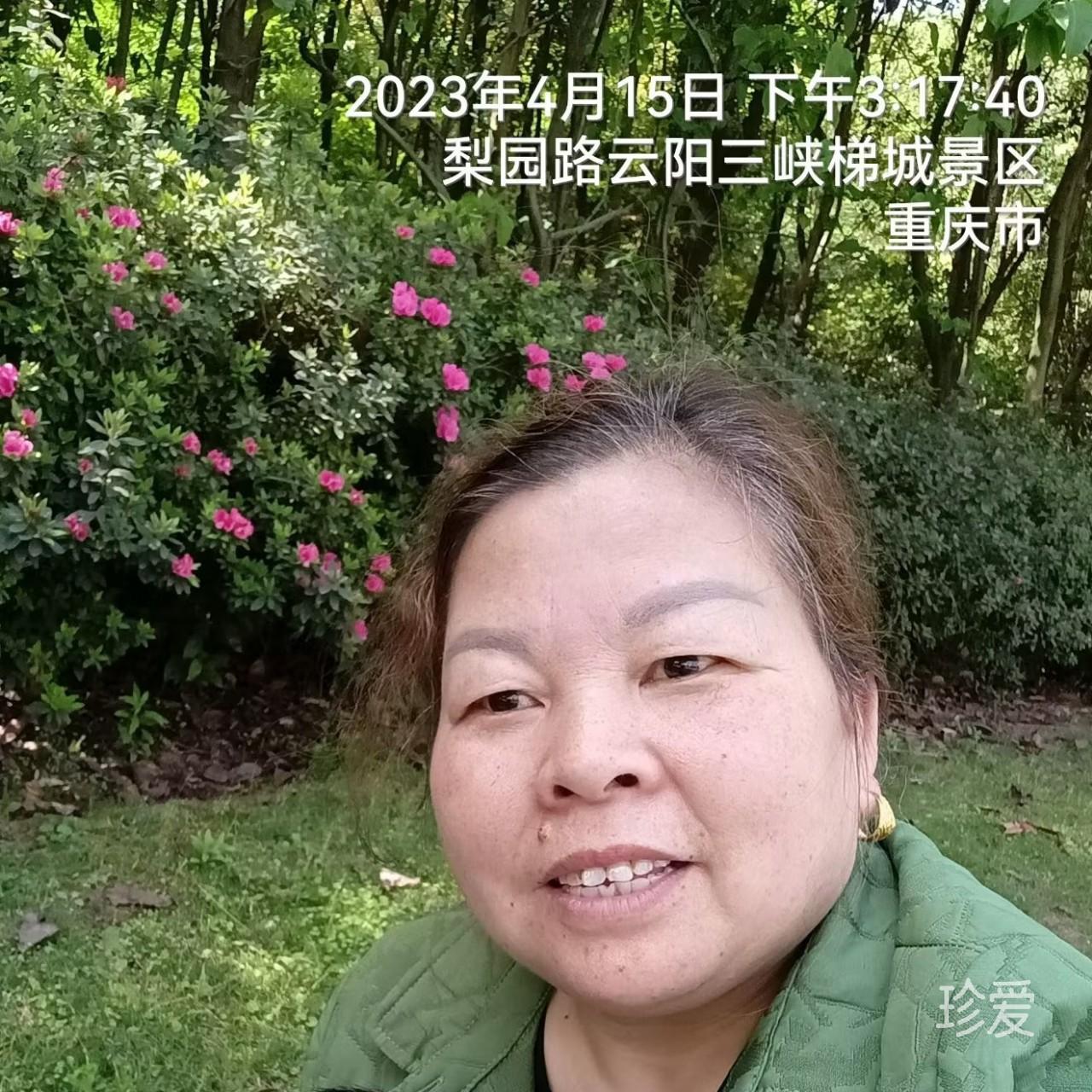 淡然如梦