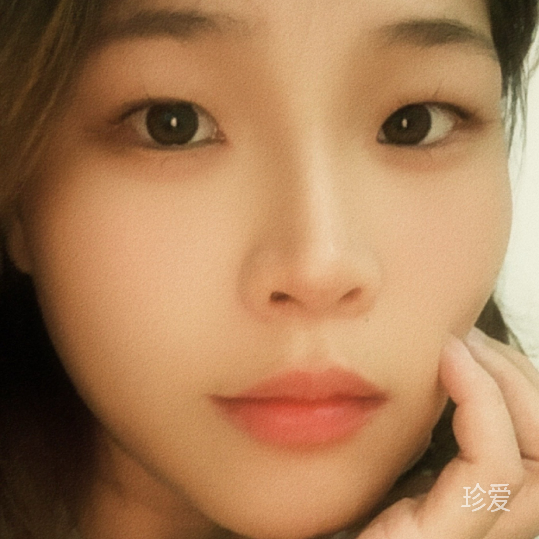 馥菲