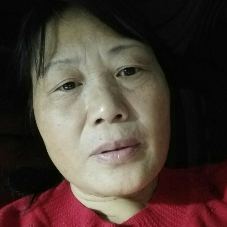 傲雪寒梅独自开