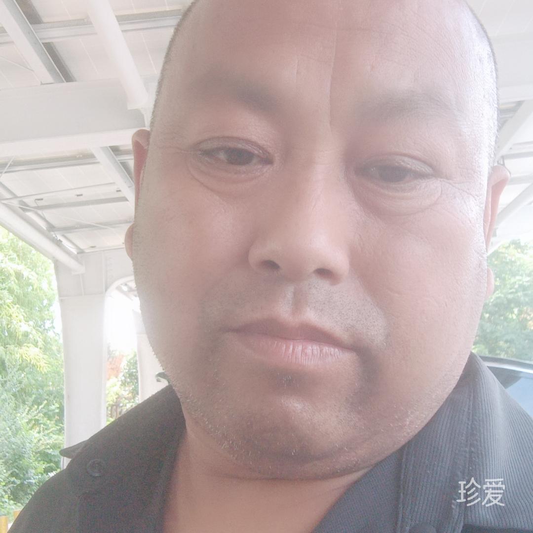 沙漠狐