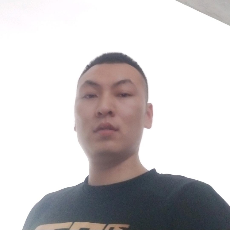 西島貓紀(jì)年