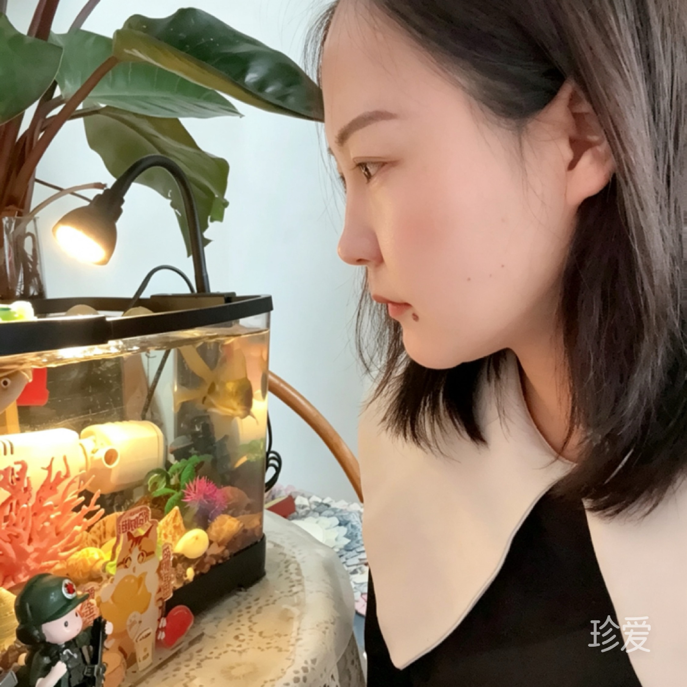 开开心做做梦