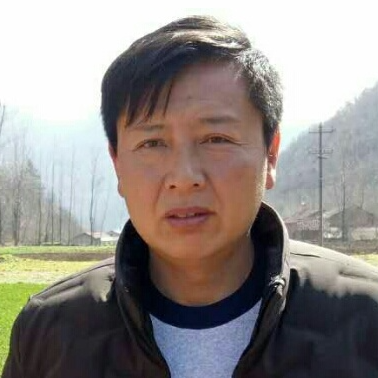 真心等你