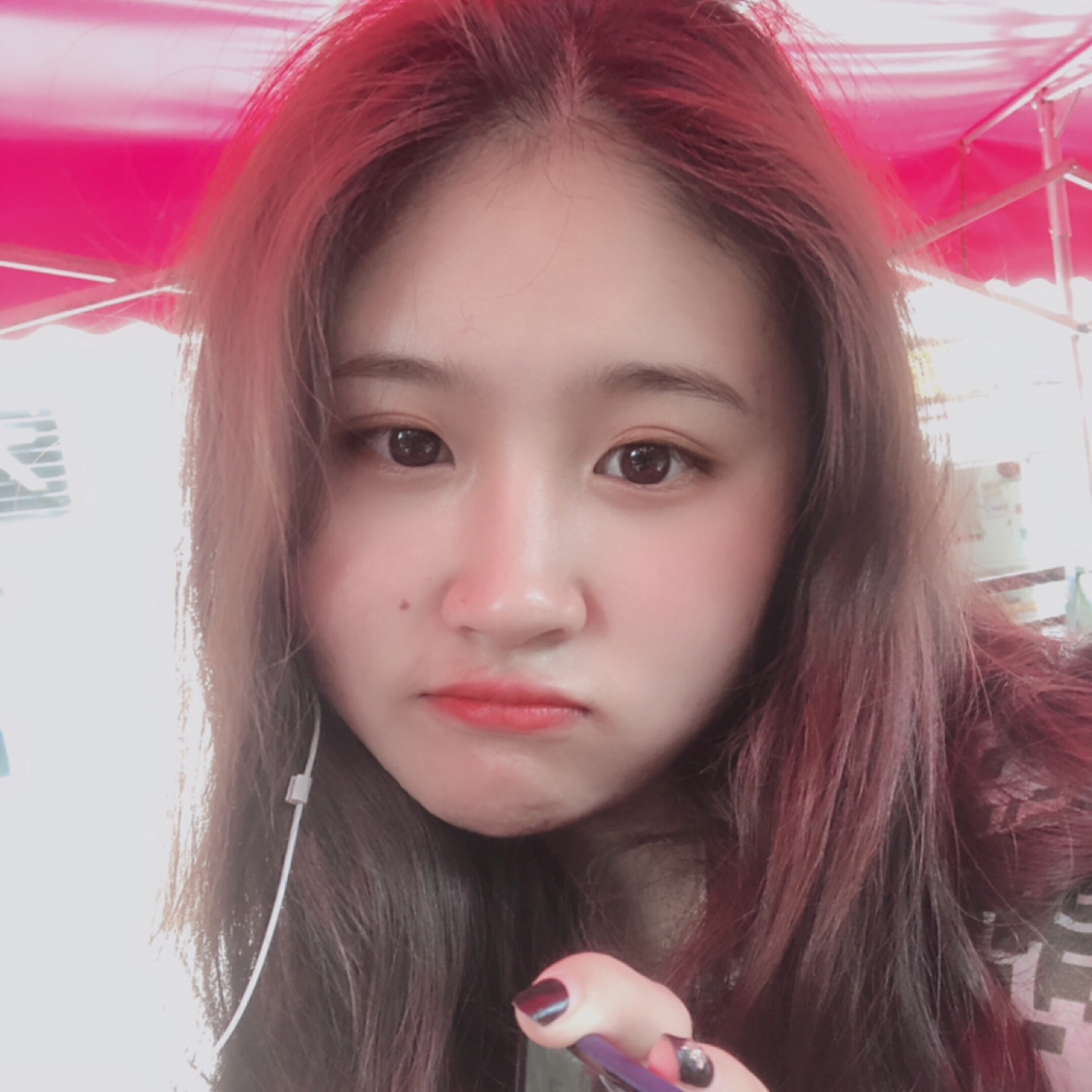 梦中的哈德森