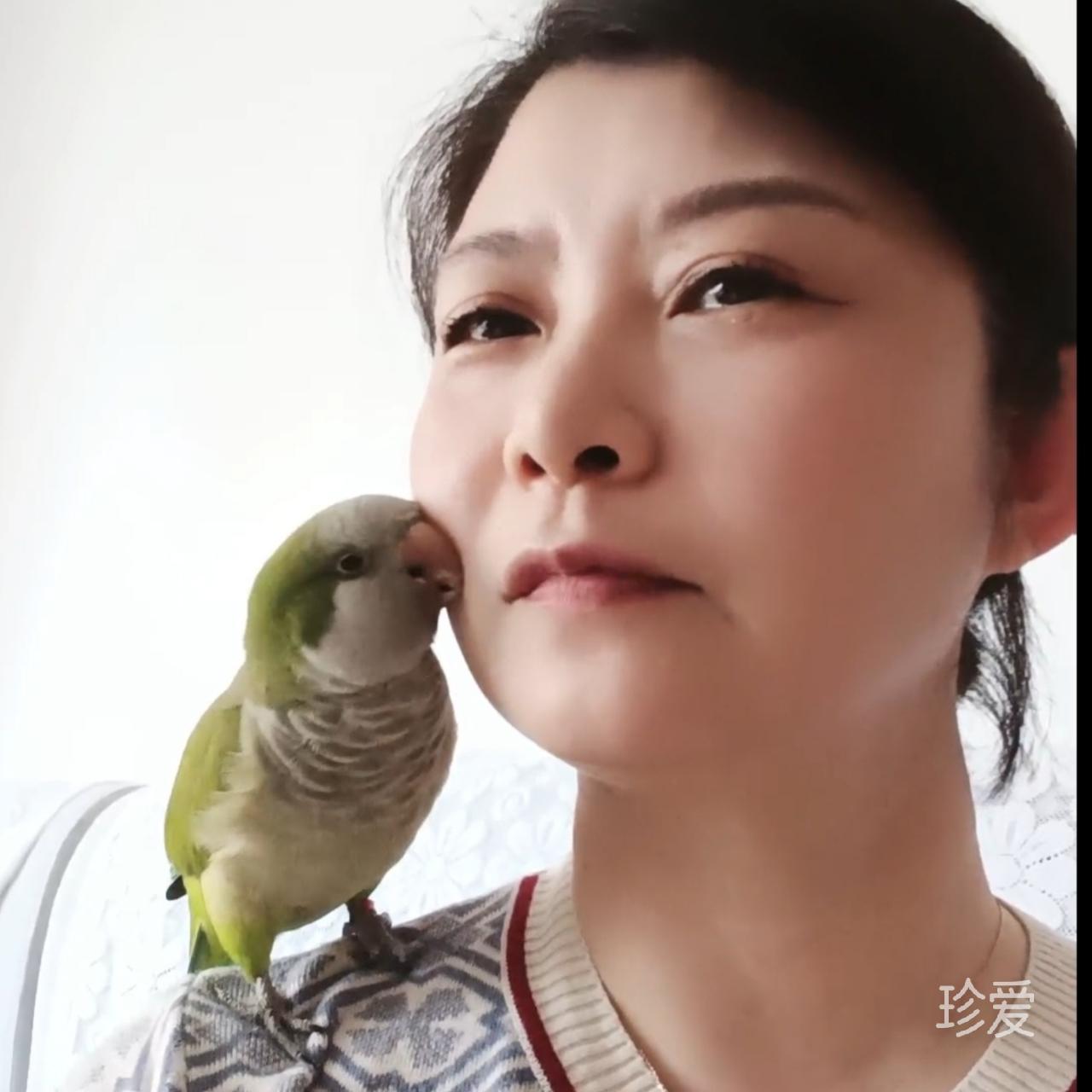 美溪