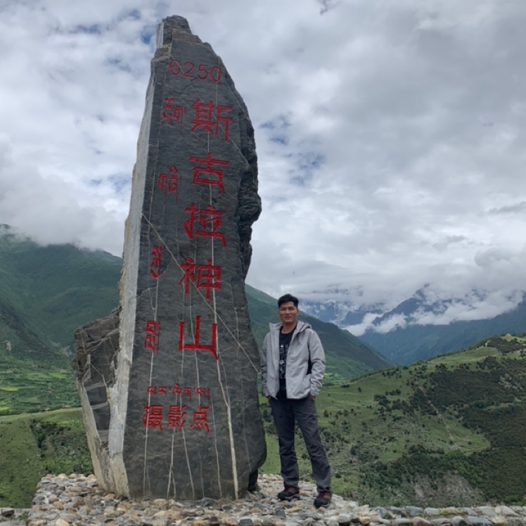 時光里的向日葵