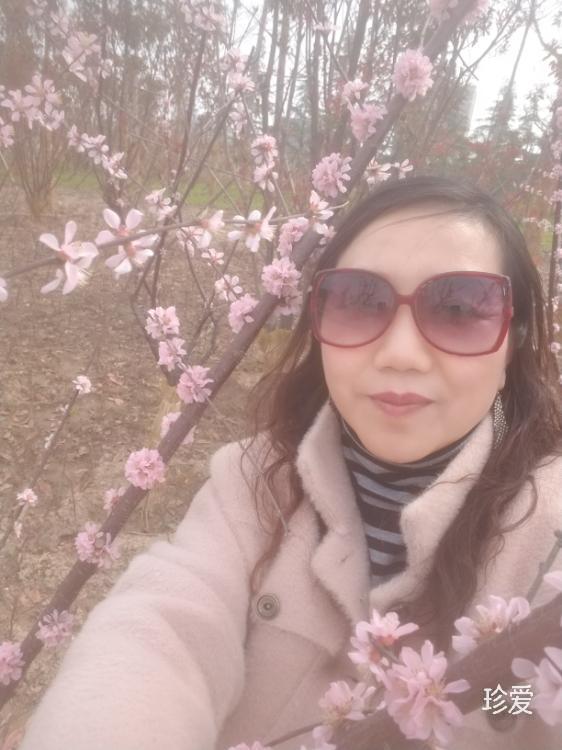 另一半苹果