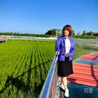 炎炎夏日