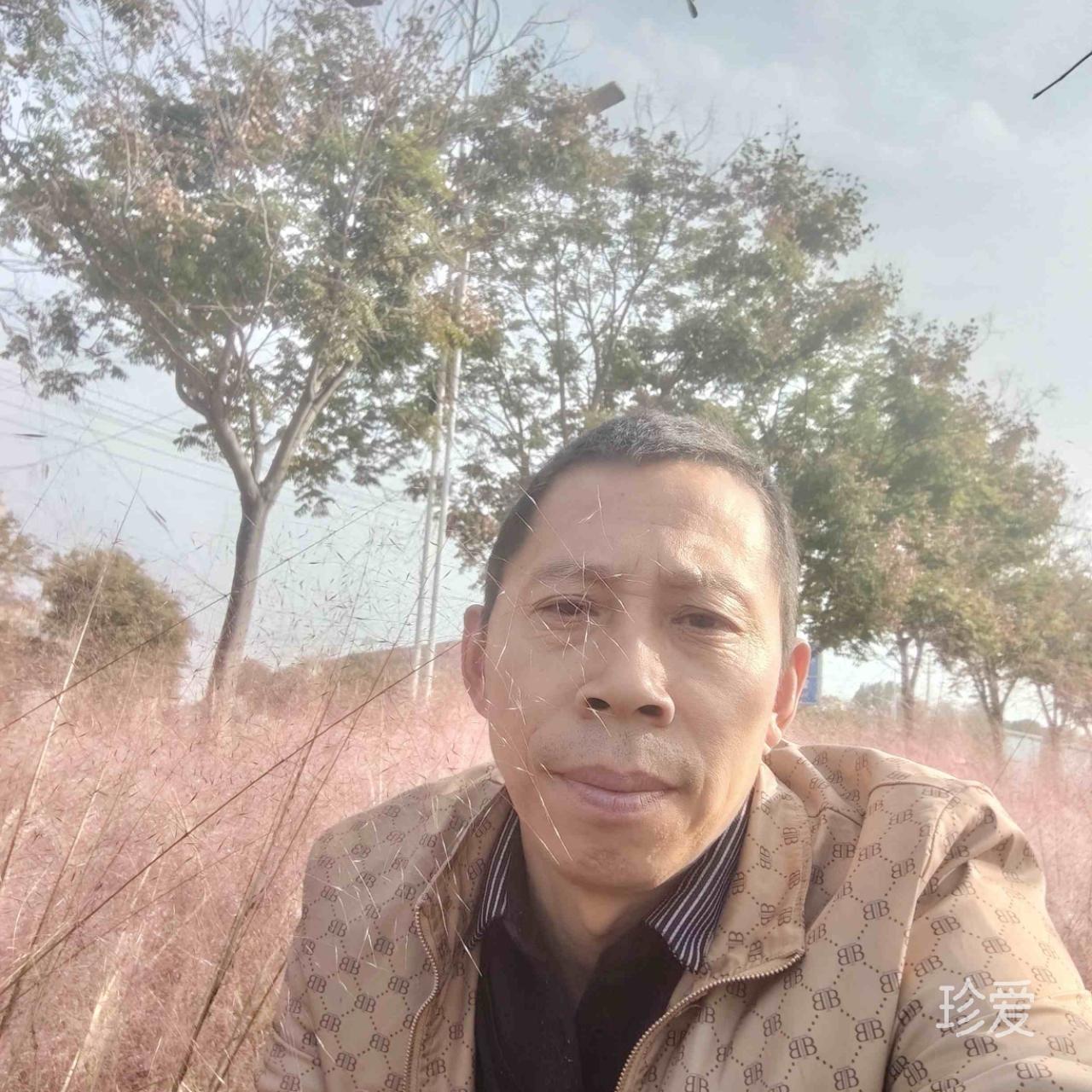 老马伏骥