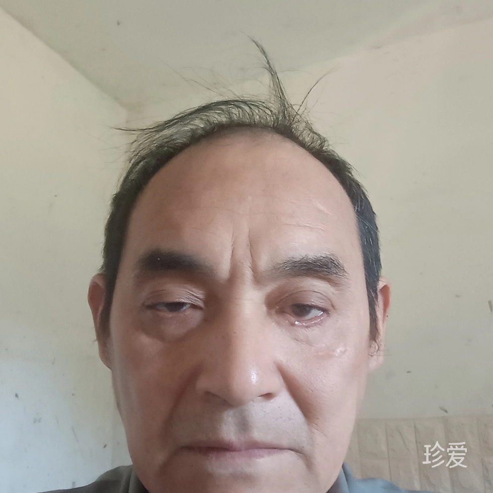 真心就好