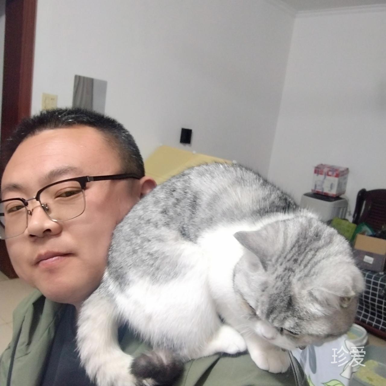 等待彩虹