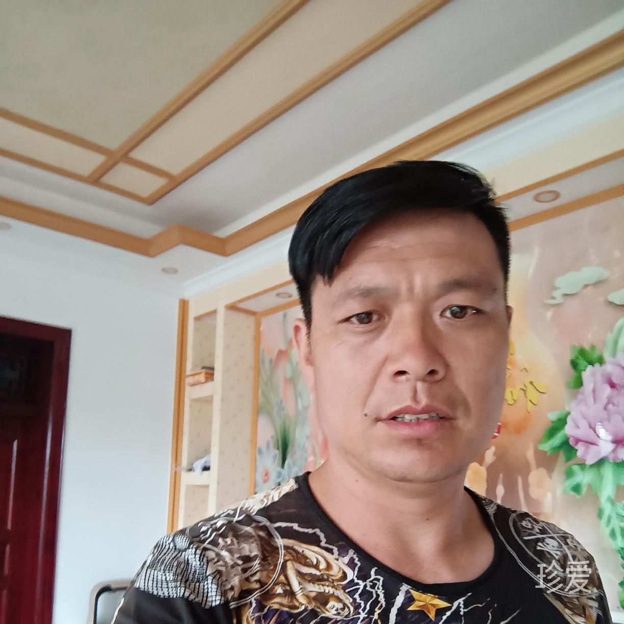 呼吸森林