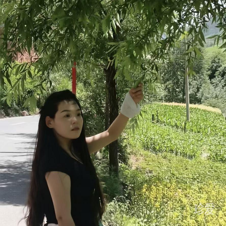 柿柿如意
