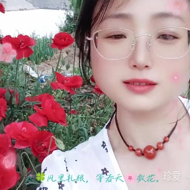 终究一个人