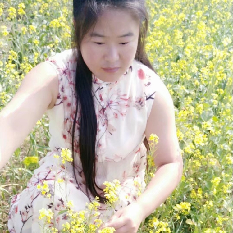 不會(huì)做飯的不要