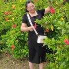 夜空中閃爍的星