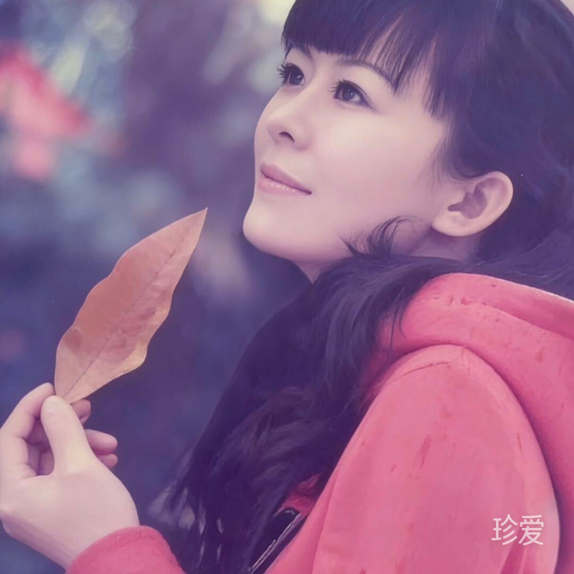 南瑾